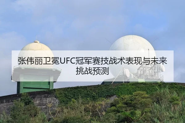 张伟丽卫冕UFC冠军赛技战术表现与未来挑战预测
